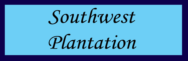 Southwest Plantation Homes For Sale near Jacksonville, NC
